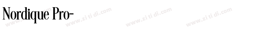 Nordique Pro字体转换
